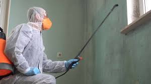  , USA Mold Removal & Remediation Pros